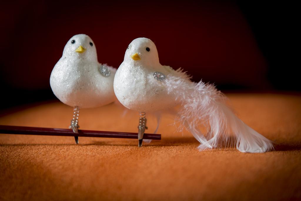 Villa Two White Pigeons Ypres Habitación foto